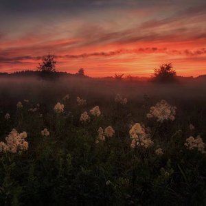 受孕屋第一季第一集免费
